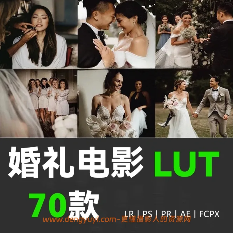 电影级婚礼跟拍人像照片视频通用调色预设支持PSLR像素蛋糕剪映达芬奇