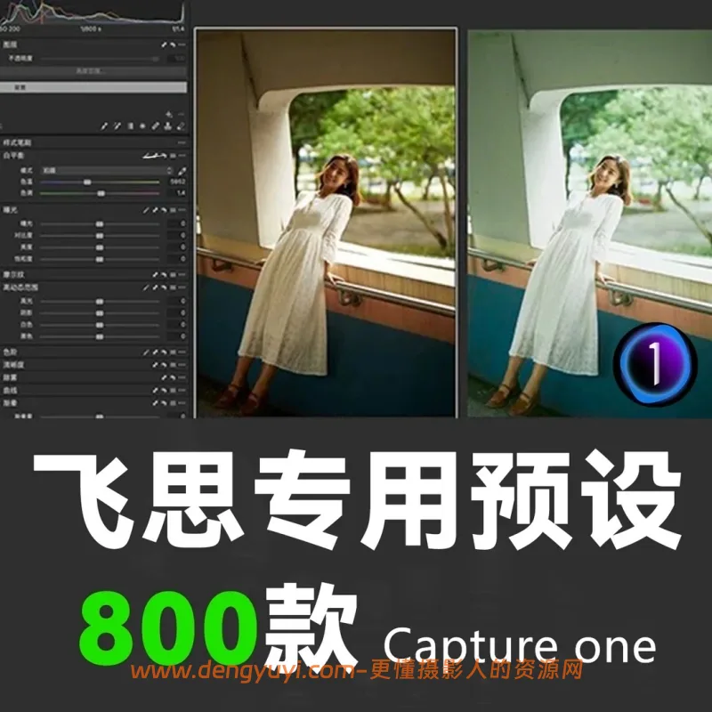 800款飞思capture one专用调色预设