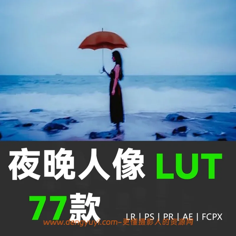 夜景弱光人像照片视频通用调色预设支持PSLR像素蛋糕剪映达芬奇