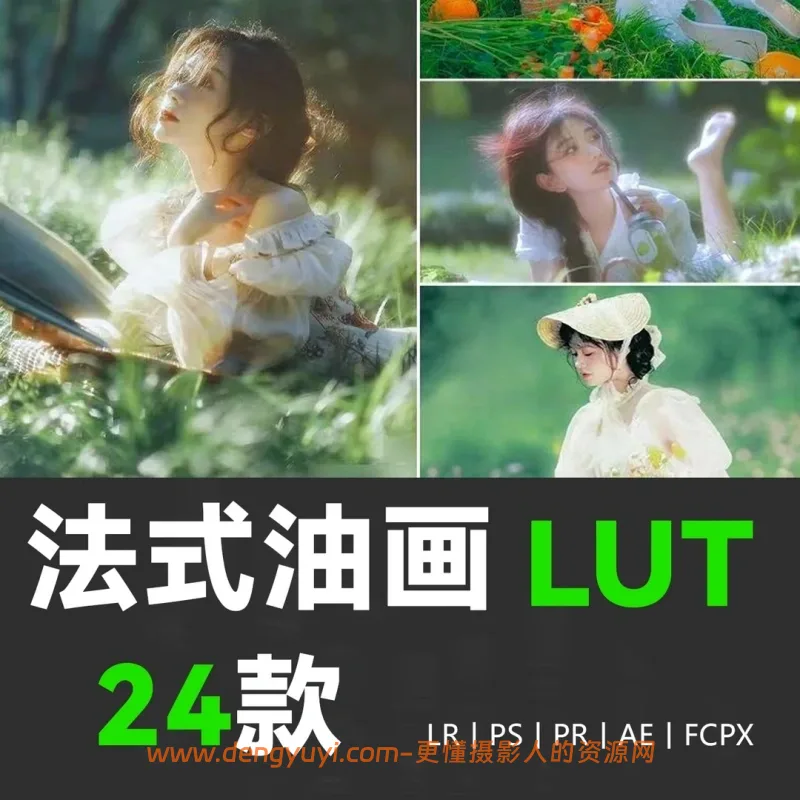 24款法式油画朦胧照片视频通用调色预设支持PSLR像素蛋糕剪映达芬奇