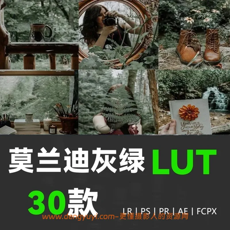 30款低饱和莫兰迪森系人像风景照片视频通用调色预设支持PSLR像素蛋糕剪映达芬奇