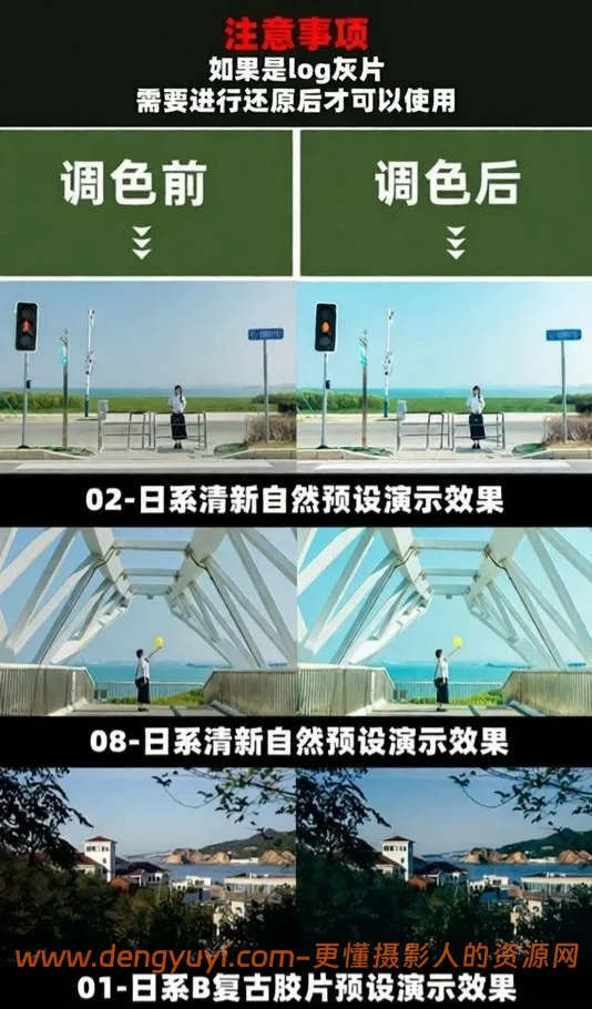 日系小清新人像照片视频通用调色预设支持PSLR像素蛋糕剪映达芬奇